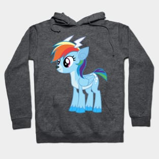 Rainbow Dash the Reindeer Hoodie